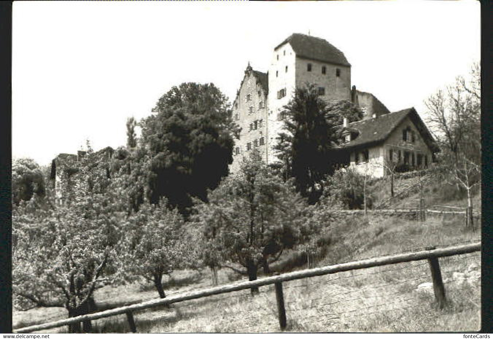 Wildegg Schloss Wildegg  o