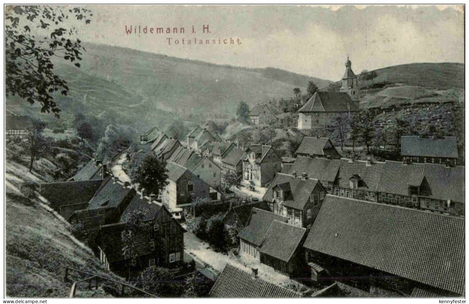 Wildemann
