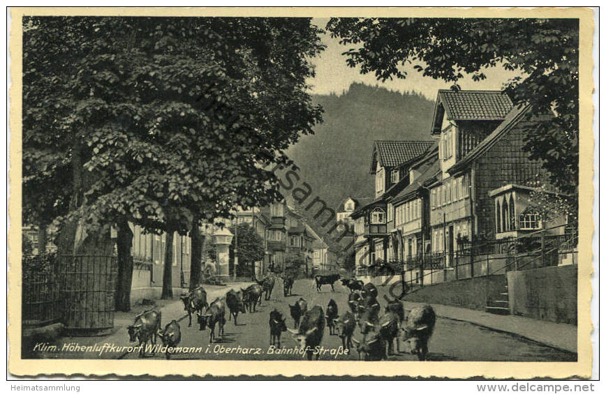 Wildemann - Bahnhof-Strasse - Verlag O. Kotscherzuk Wildemann