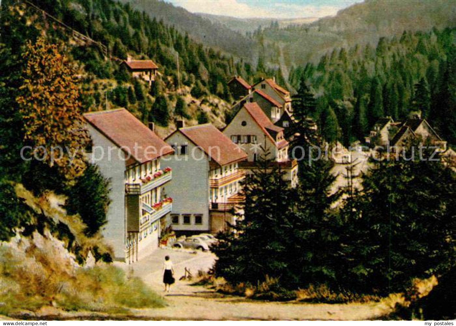 Wildemann Harz Goslar Niedersachsen Spiegeltal