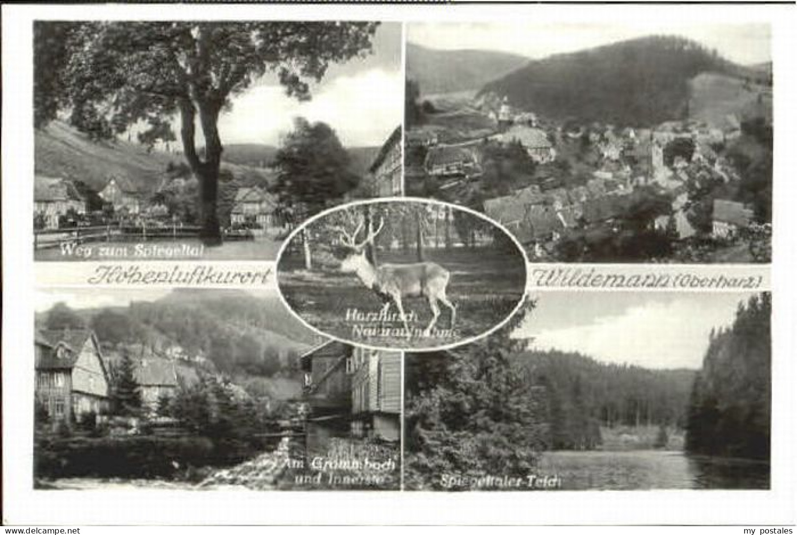 Wildemann Harz Goslar Niedersachsen Wildemann