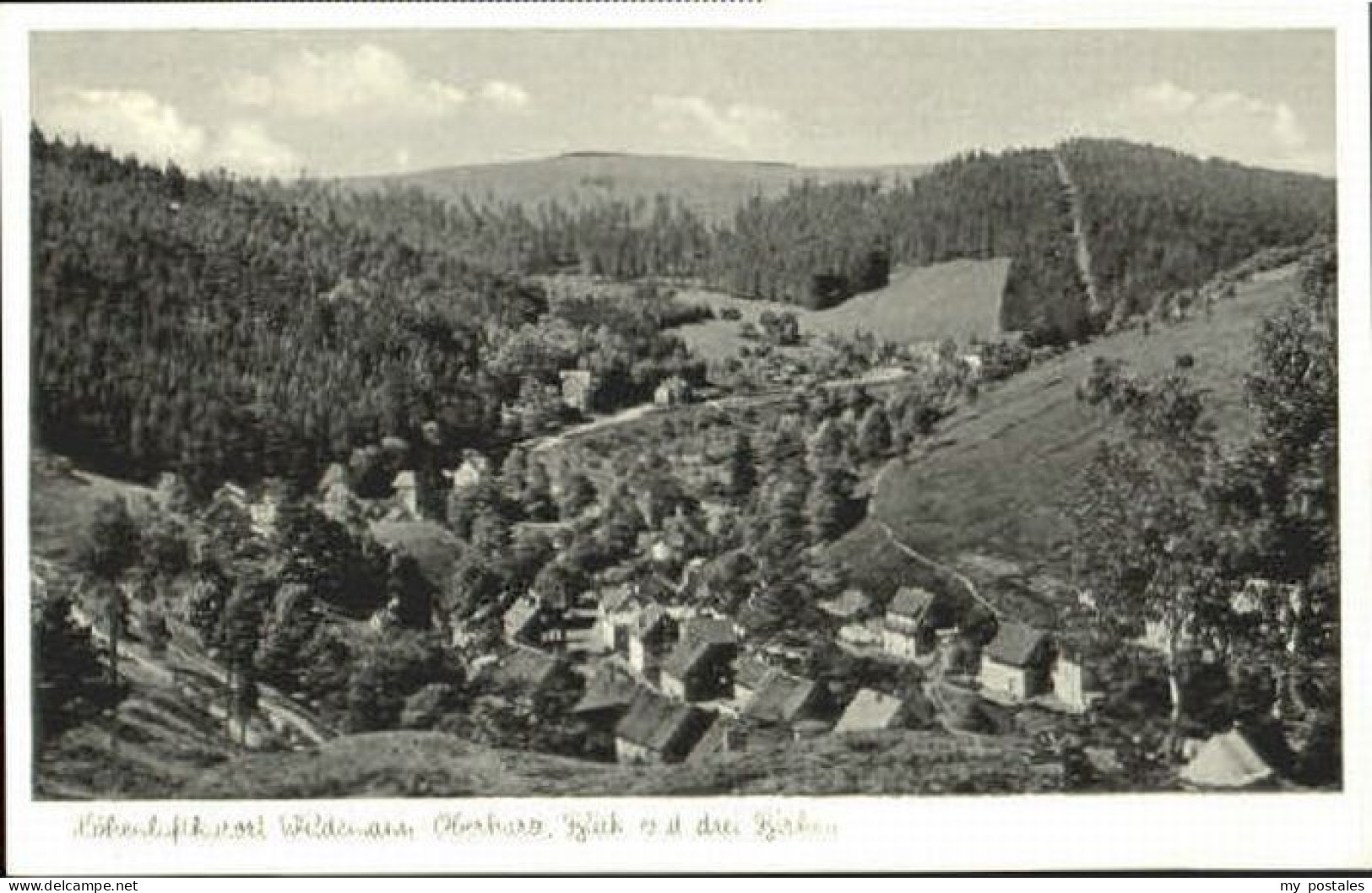 Wildemann Harz Goslar Niedersachsen Wildemann