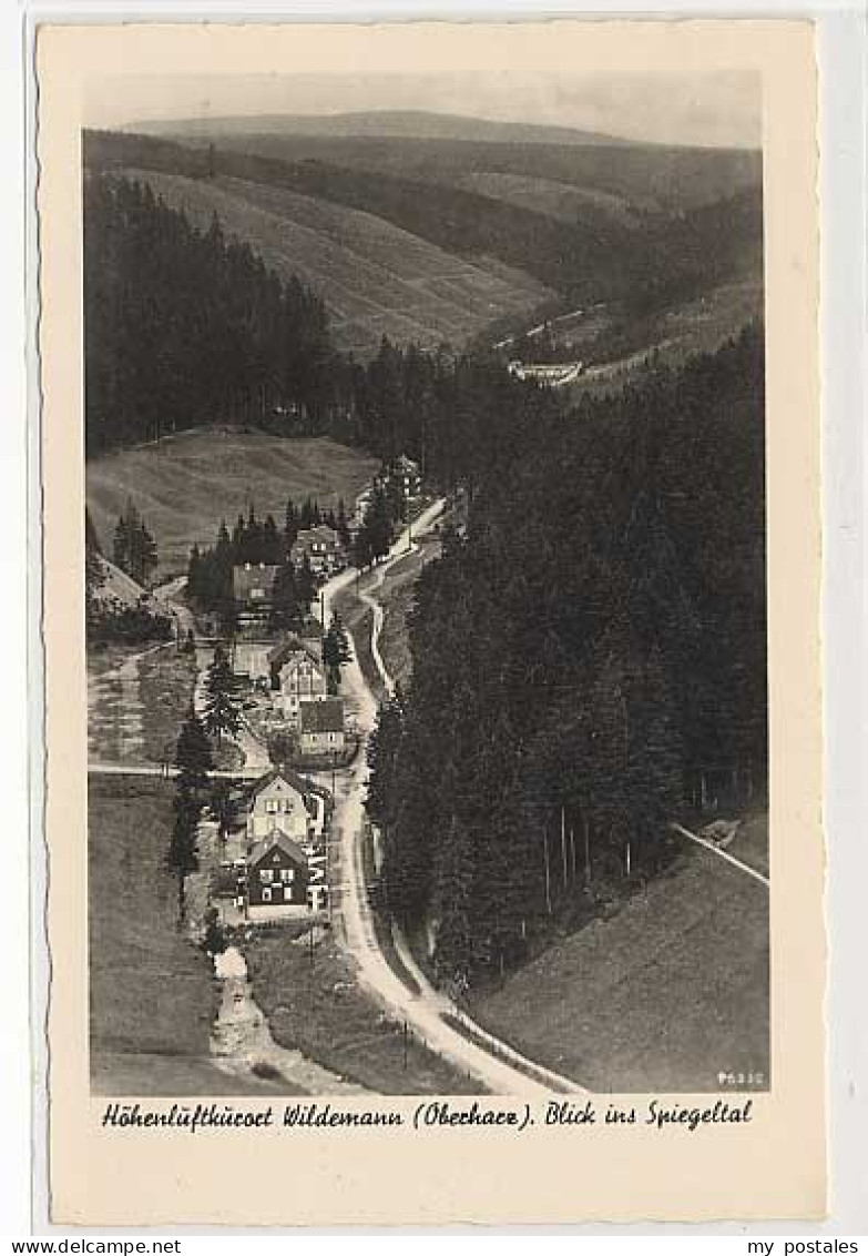 Wildemann Harz Goslar Niedersachsen Wildemann