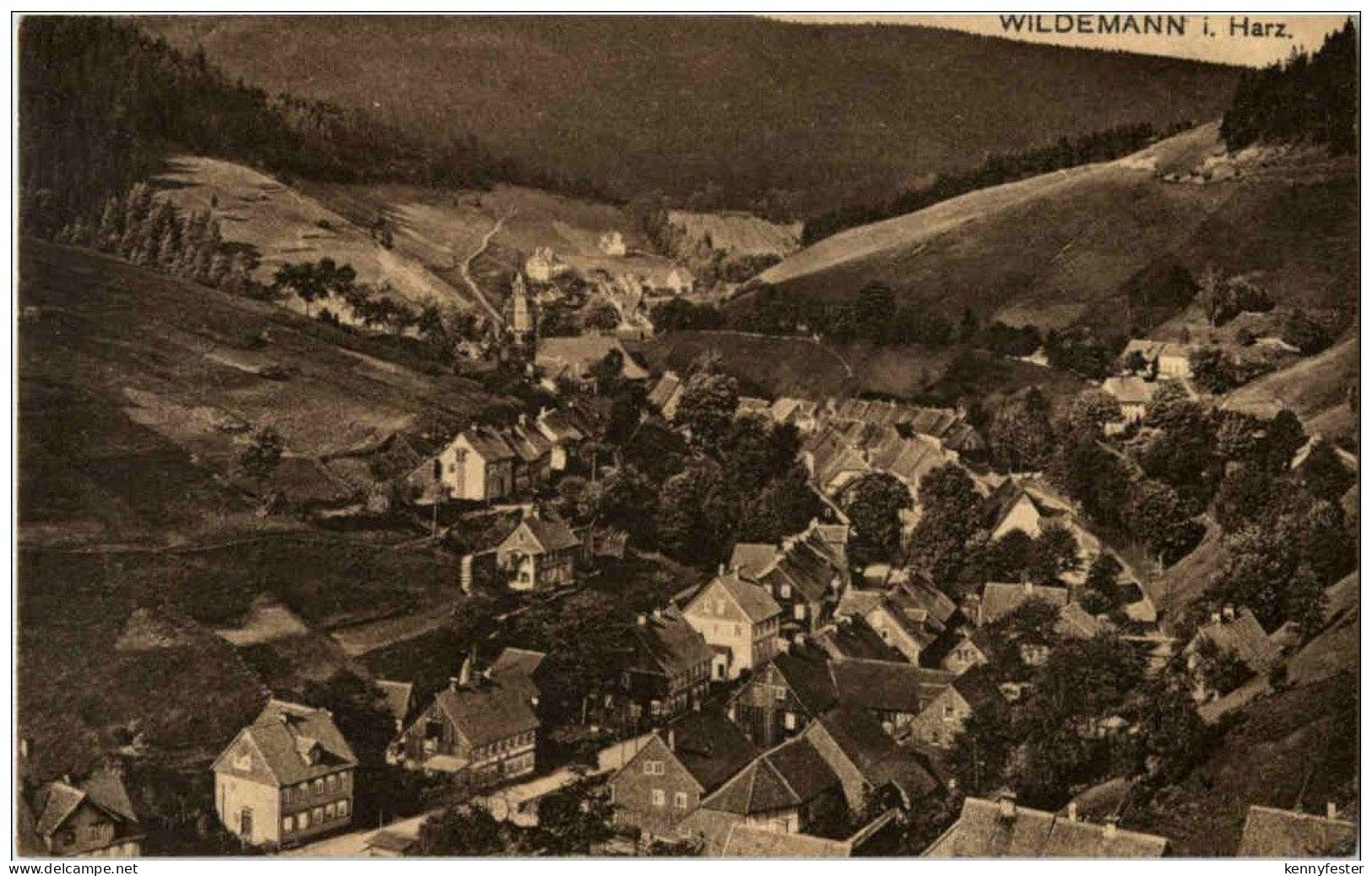 Wildemann im Harz