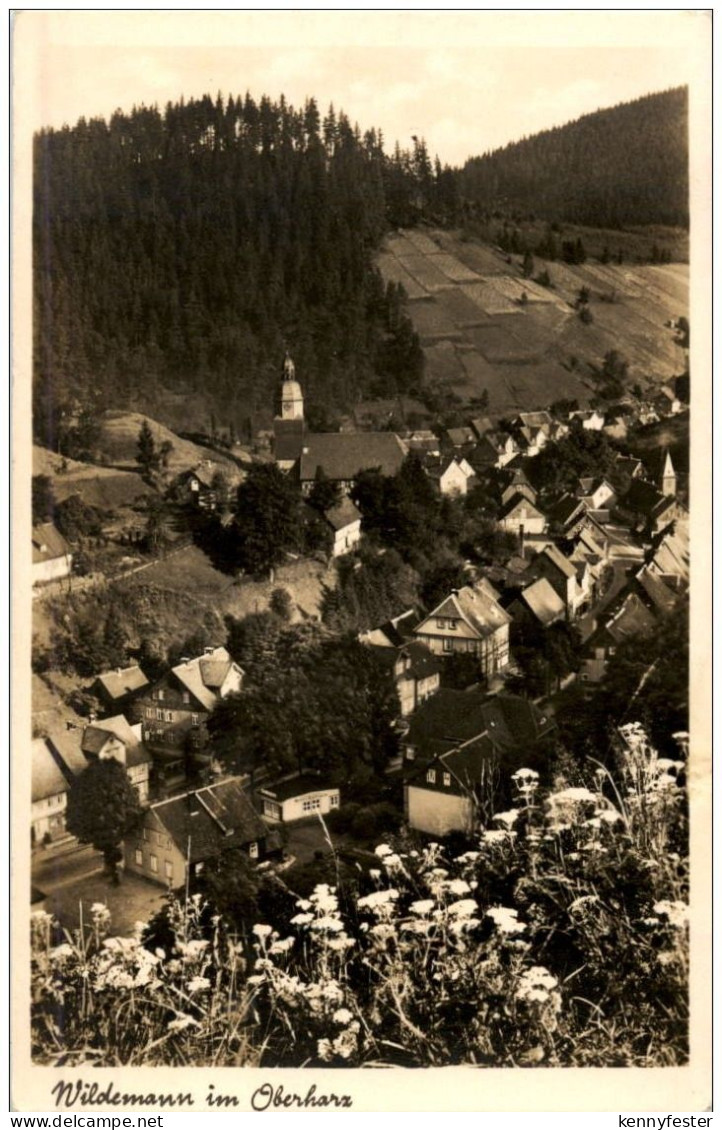 Wildemann im Oberharz