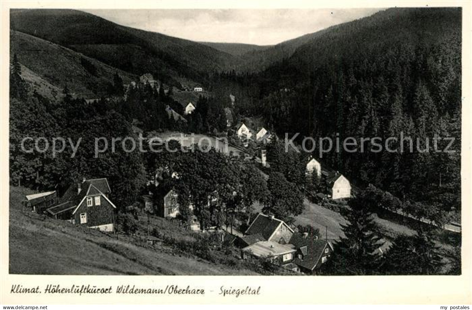 Wildemann Landschaftspanorama Spiegeltal