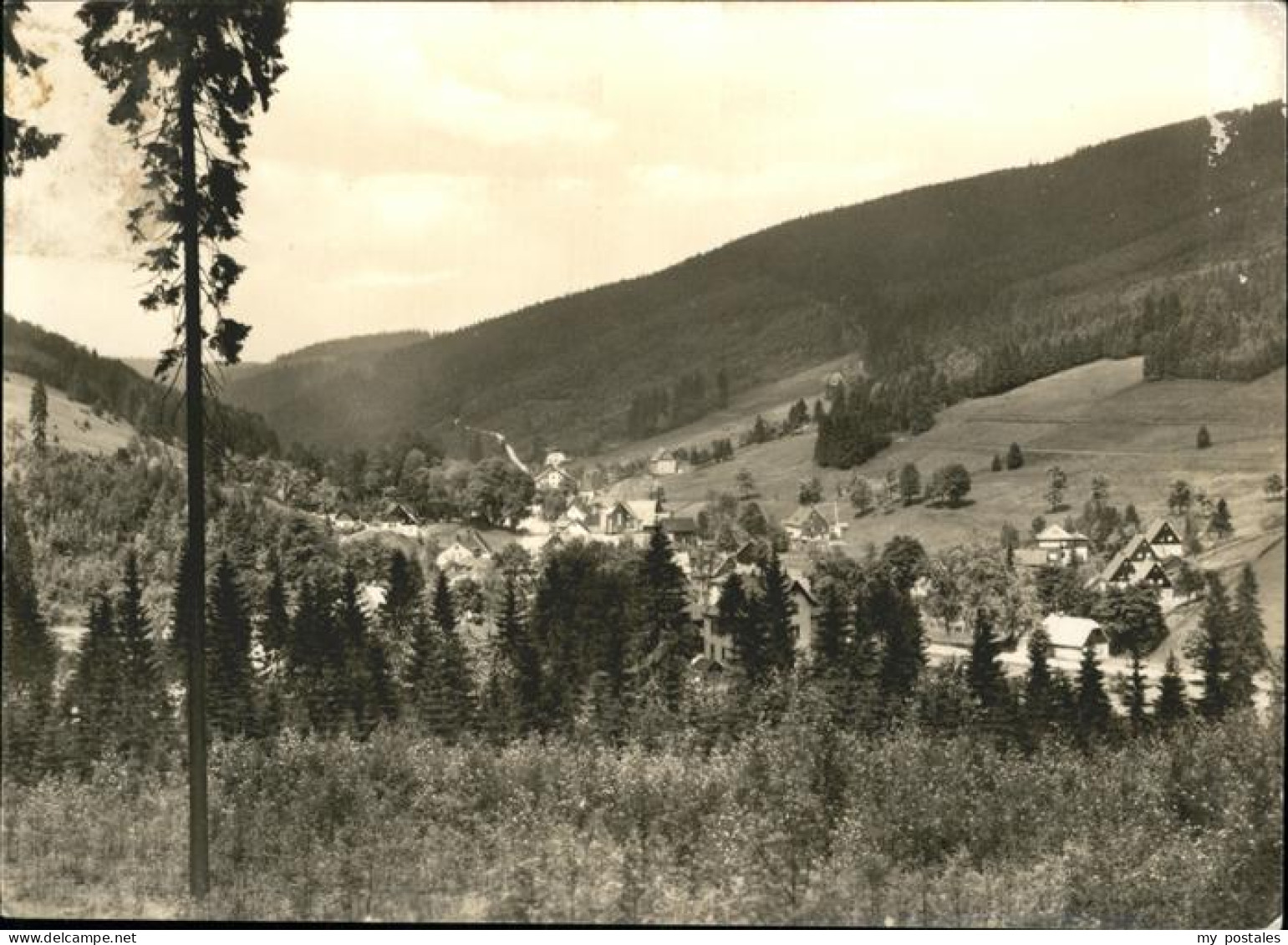 Wildenthal Eibenstock