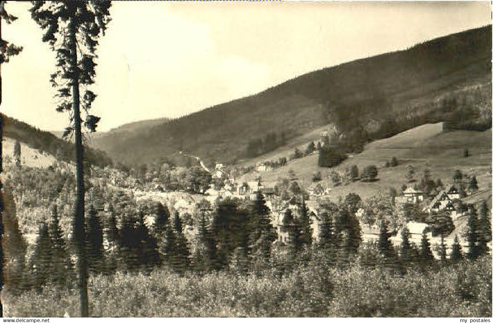 Wildenthal Eibenstock