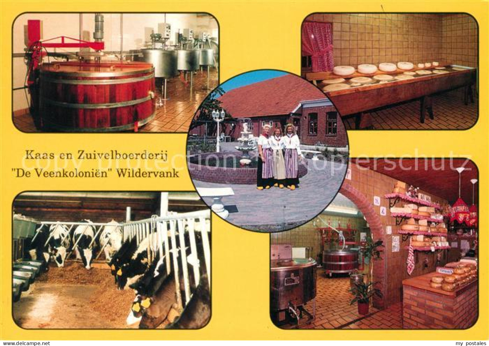 Wildervank Kaas en Zuivelboerderij De Veenkolonien Wildervank