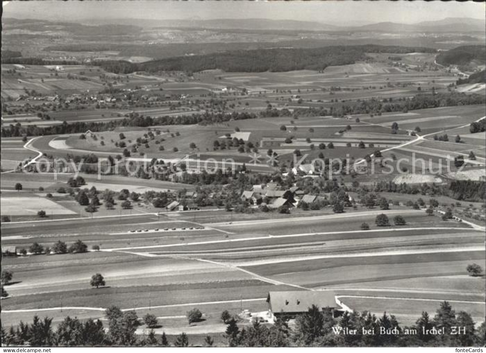 Wiler Buch Panorama