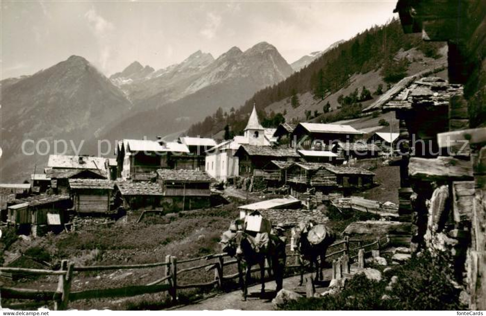 Wiler Loetschental VS mit Rothoerner