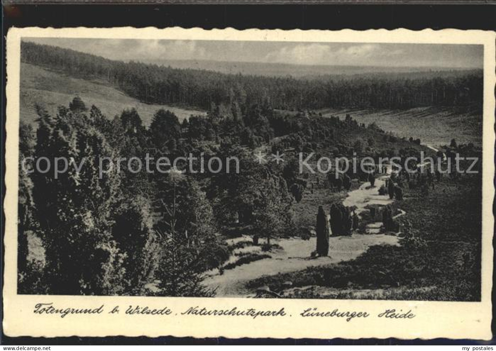 Wilsede Lueneburger Heide Lueneburger Heide Totengrund