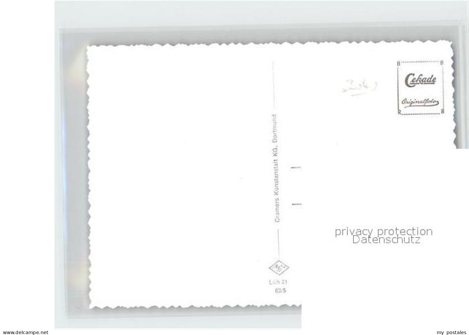 Wilsede Lueneburger Heide Schlangengrund Lueneburger Heide