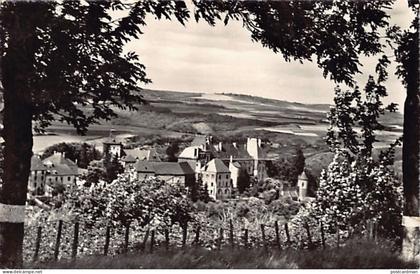 Luxembourg - WILTZ - Le château et ses environs - Ed. Paul Kraus 754