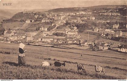 Luxembourg - WILTZ - Vue générale - Ed. J. Kaemmerer