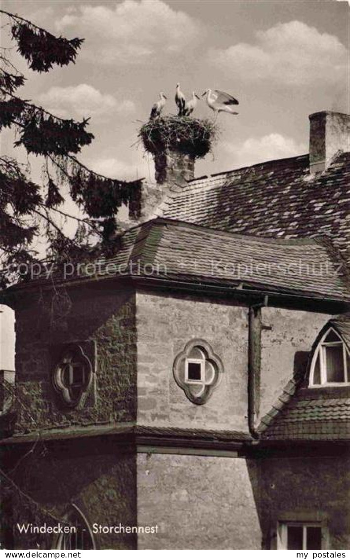 Windecken Storchennest Stoerche Turm Mittelalter Dach Mauerwerk Baum