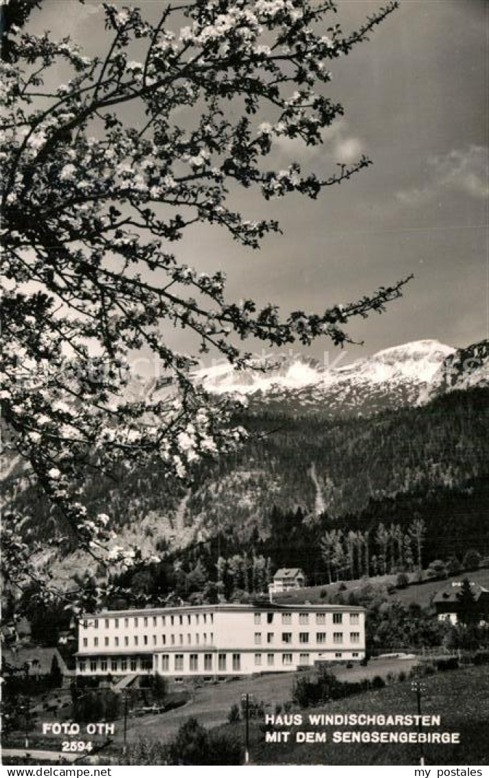 Windischgarsten Haus Windischgarsten mit dem Sengsengebirge Baumbluete