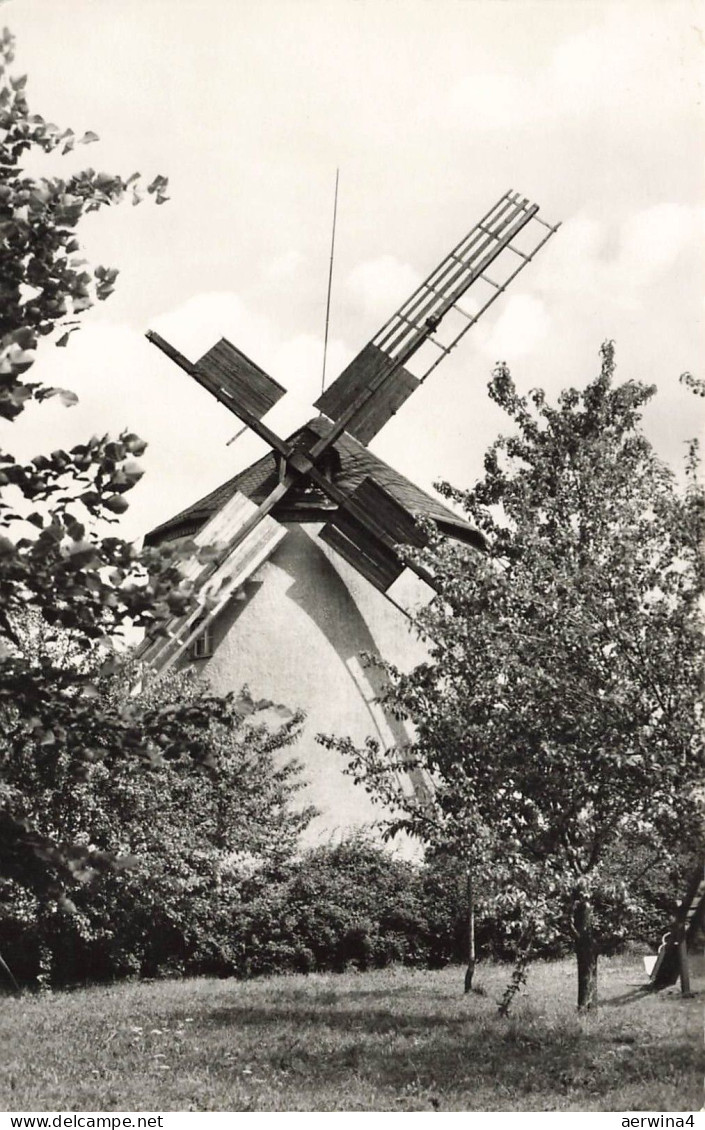 Windmühle in Syrau Vogtland Sachsen Postkarte AK