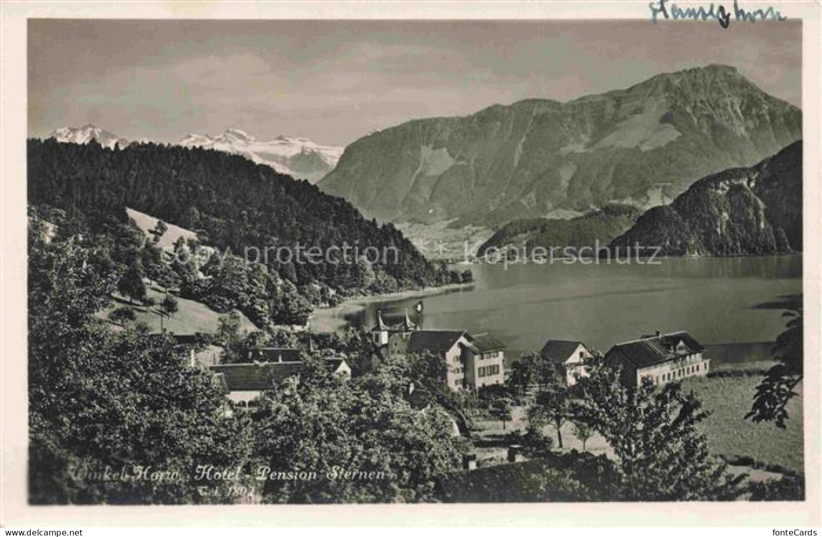 Winkel-Horw Luzern LU Panorama Hotel Pension Sternen Vierwaldstaettersee Alpen