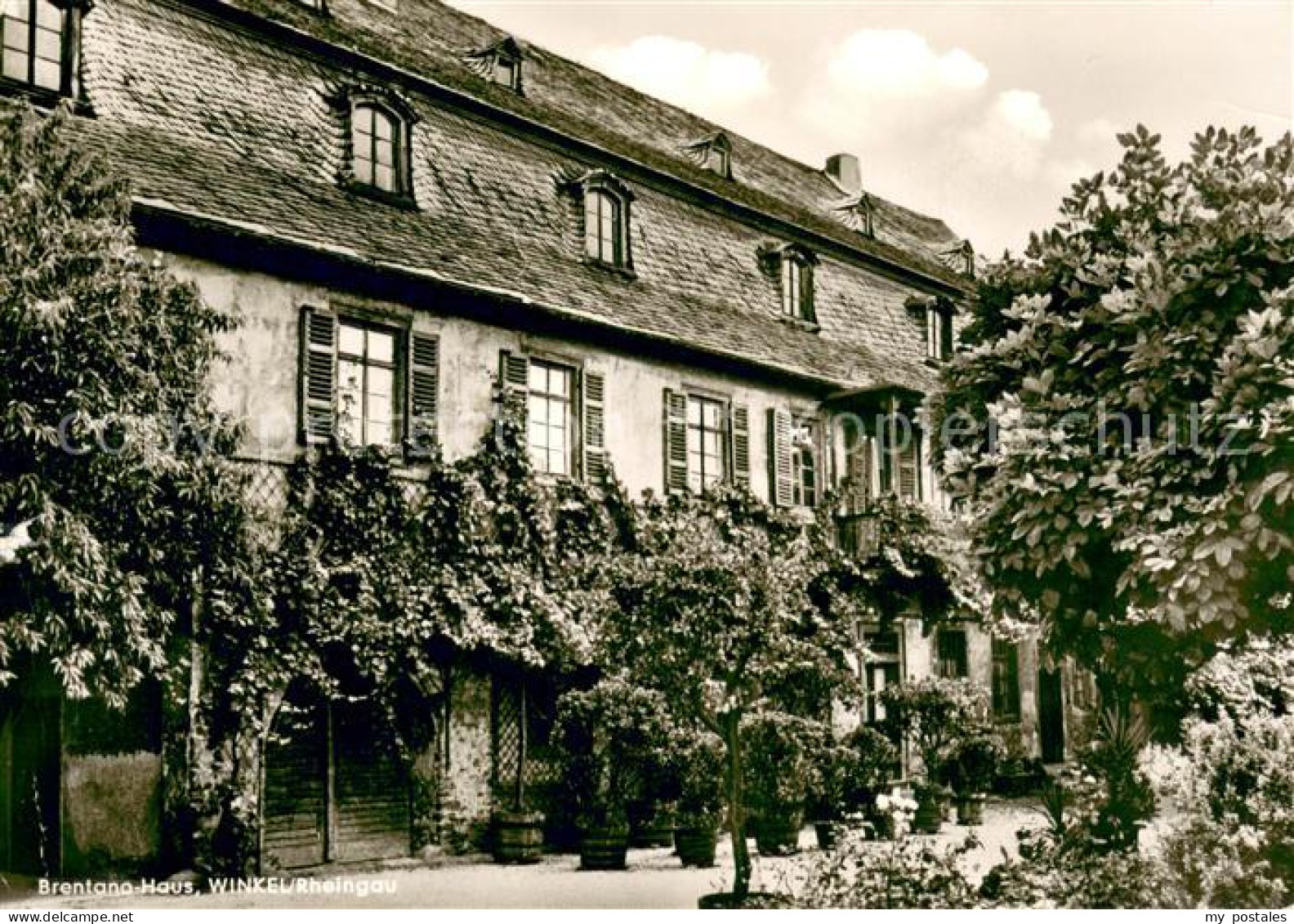 Winkel Oestrich-Winkel Brentana Haus