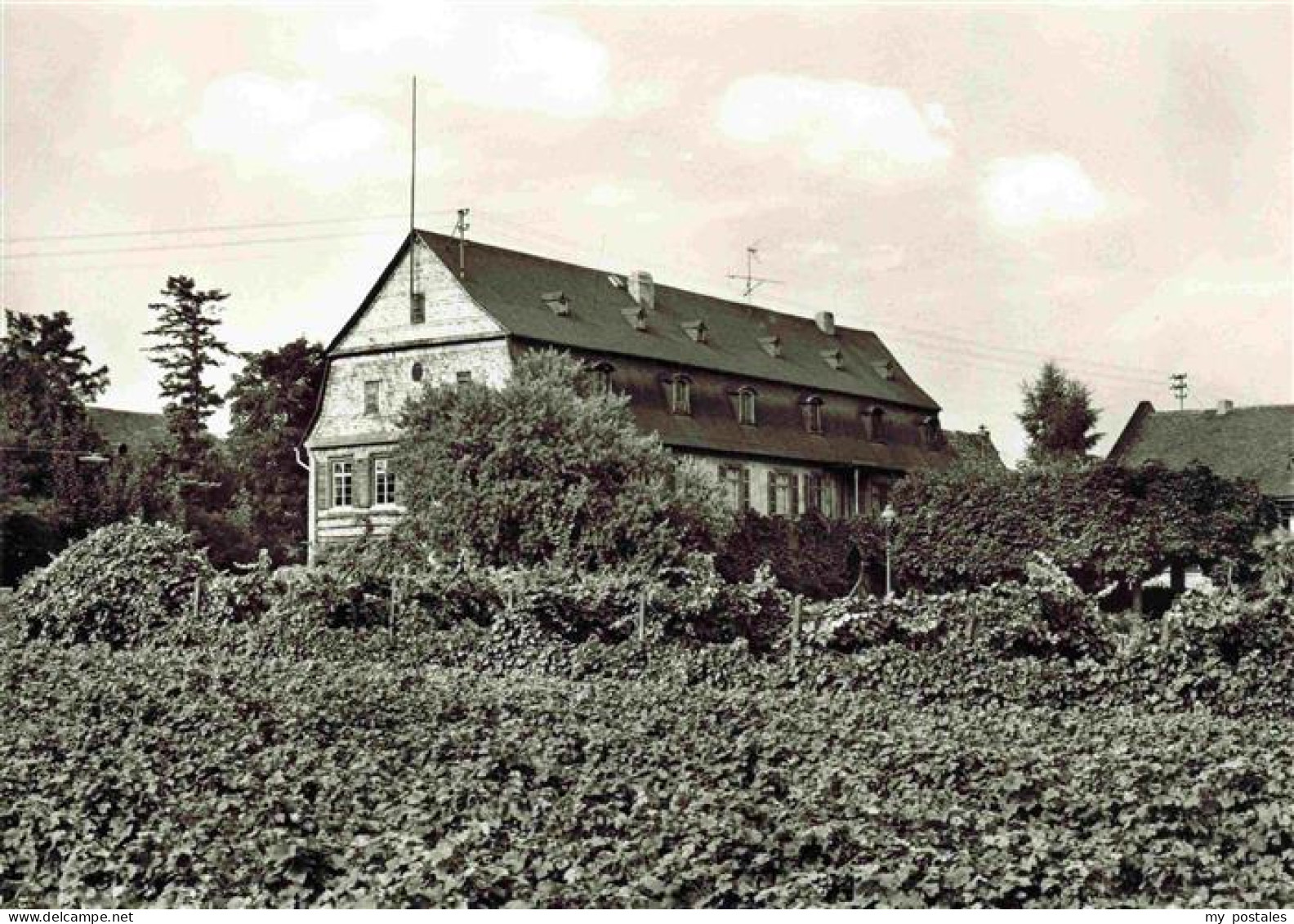 Winkel Oestrich-Winkel Brentano-Haus