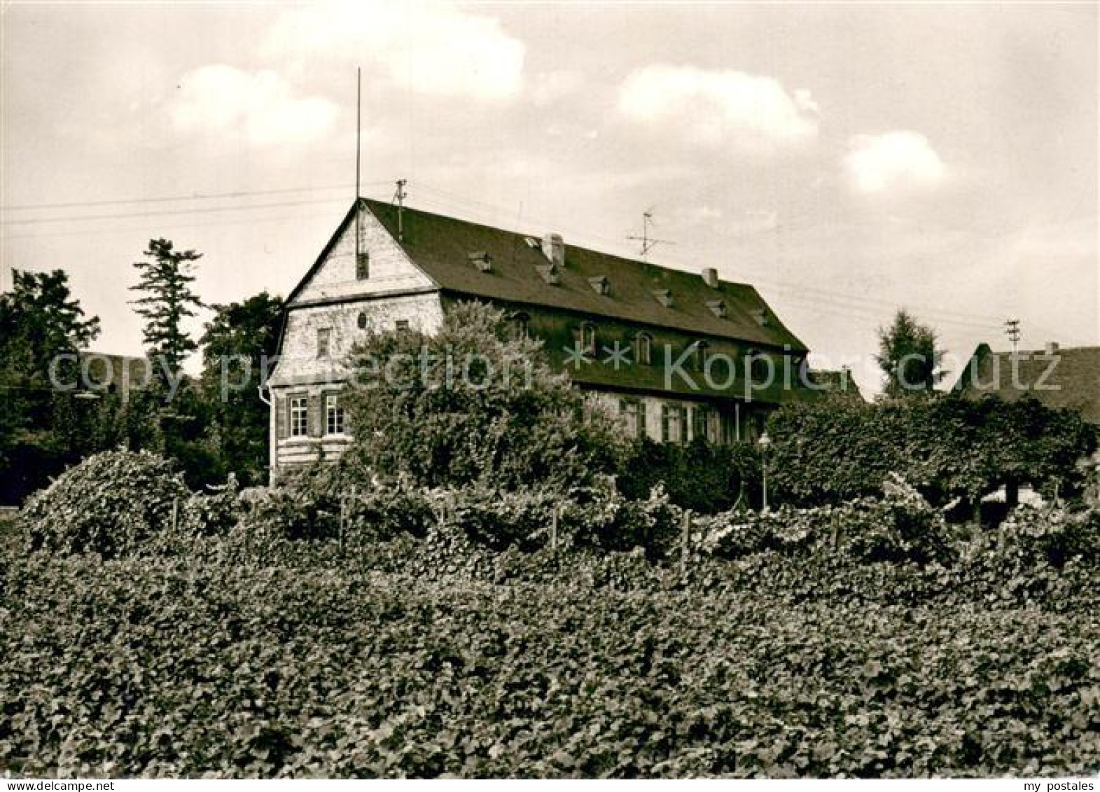 Winkel Oestrich-Winkel Brentano Haus Gartenfront