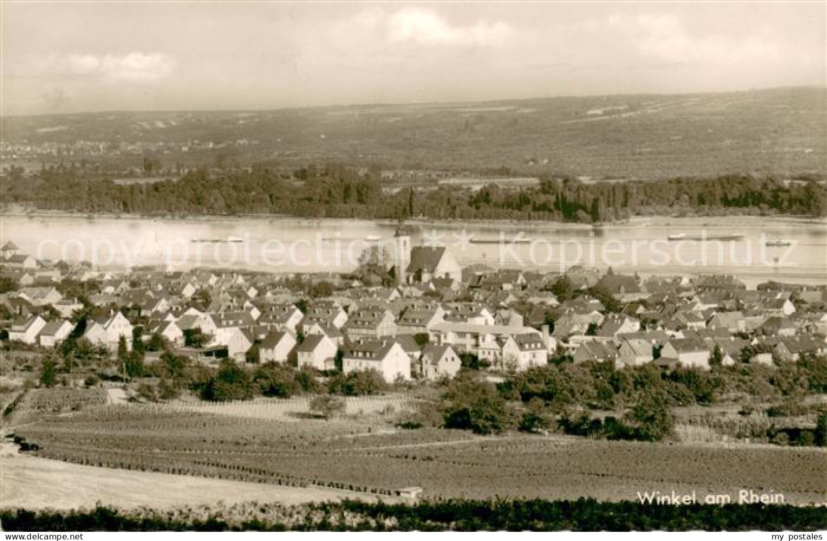 Winkel Oestrich-Winkel Panorama am Rhein