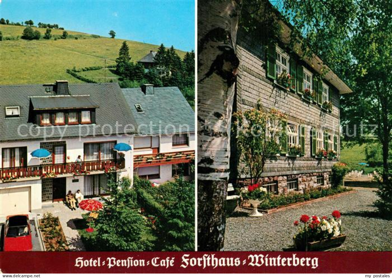 Winterberg Hochsauerland Hotel Pension Cafe Forsthaus Winterberg