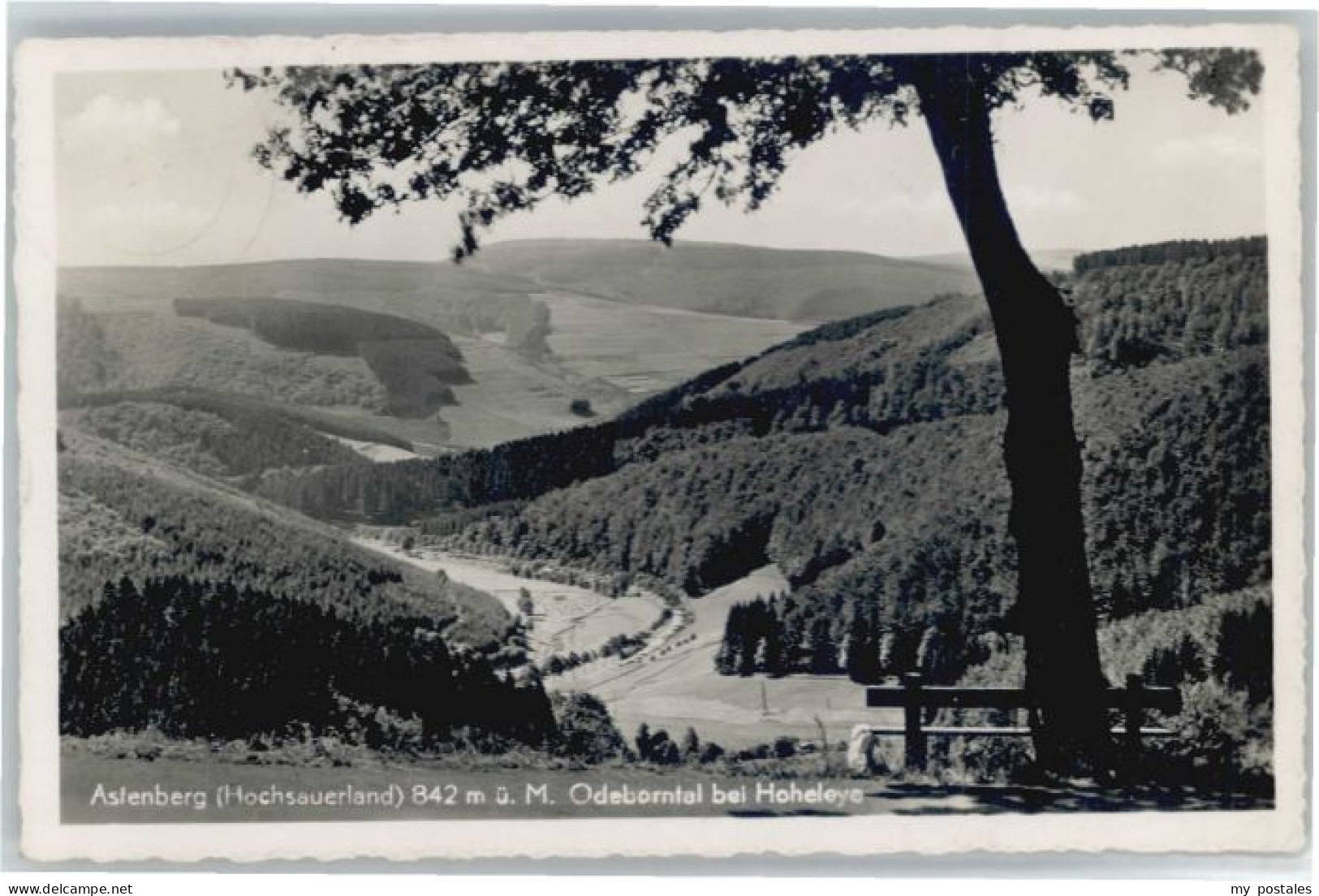 Winterberg Hochsauerland Winterberg Westfalen Astenberg Odeborntal