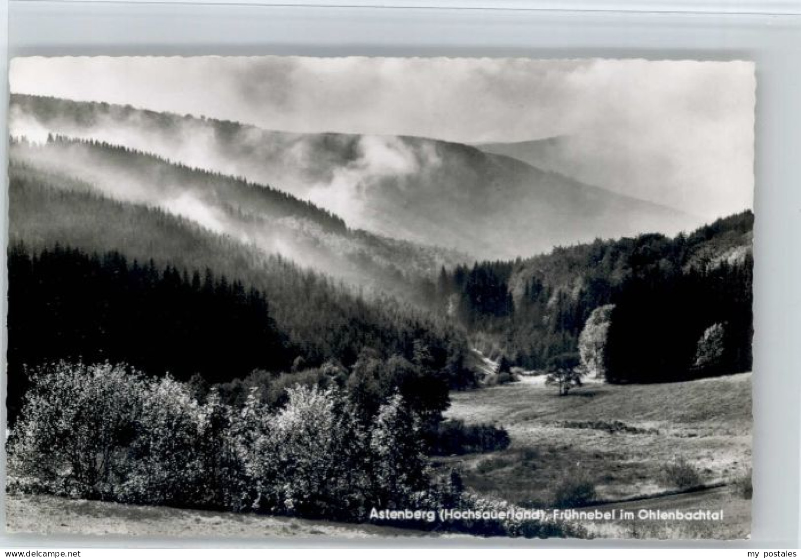 Winterberg Hochsauerland Winterberg Westfalen Ohlenbachtal