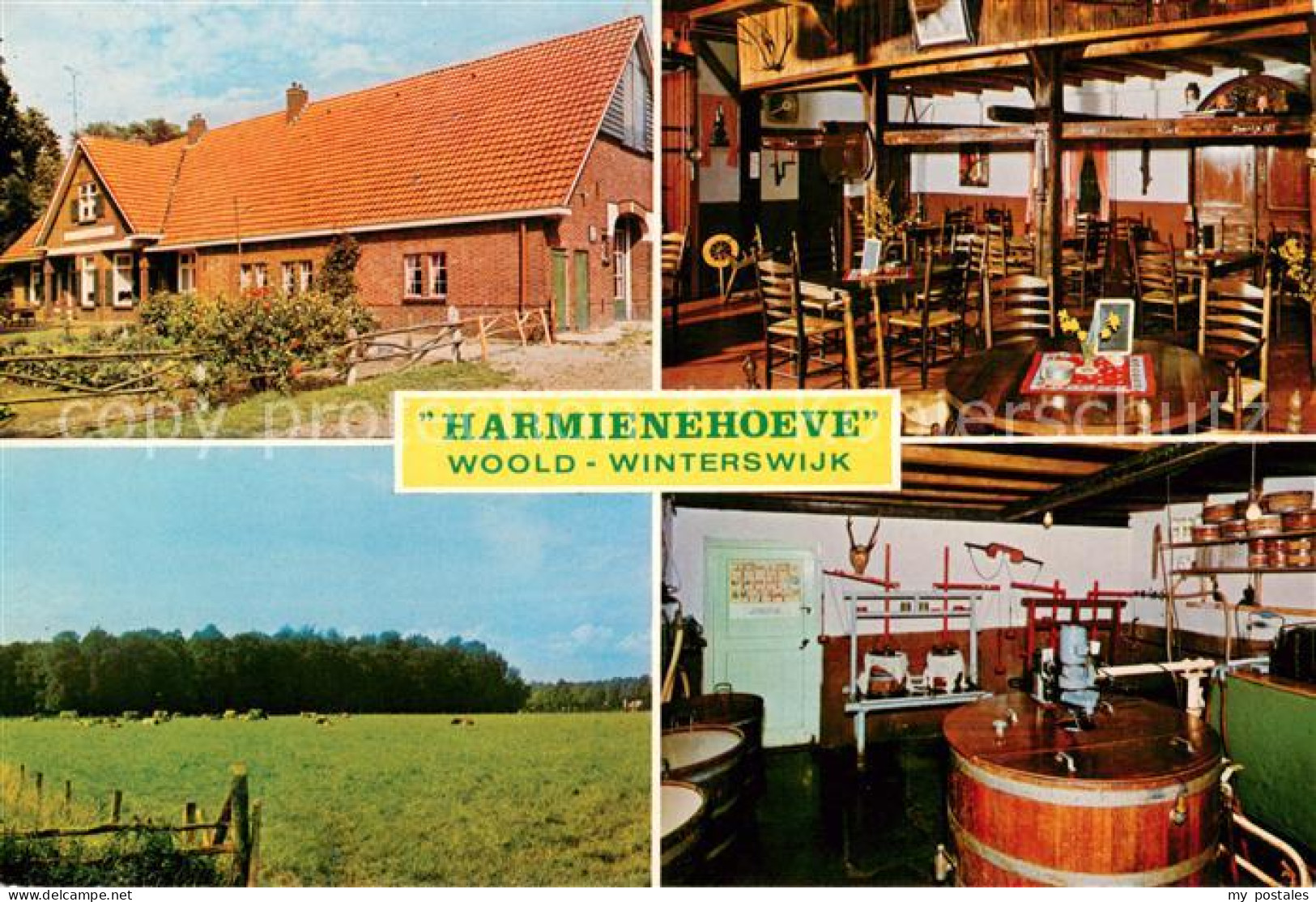 Winterswijk Kaasboerderij Harmienehoeve