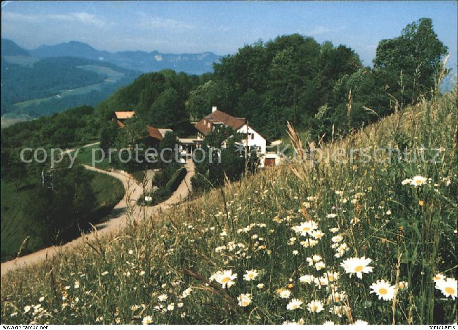 Wisen Blaukreuz-Ferienheim Hupp