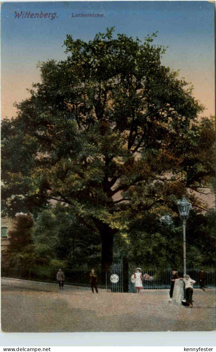 Wittenberg, Luthereiche