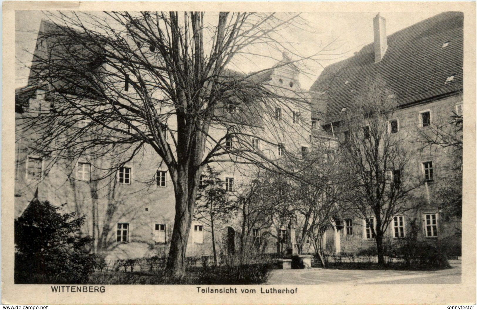 Wittenberg - Lutherhof