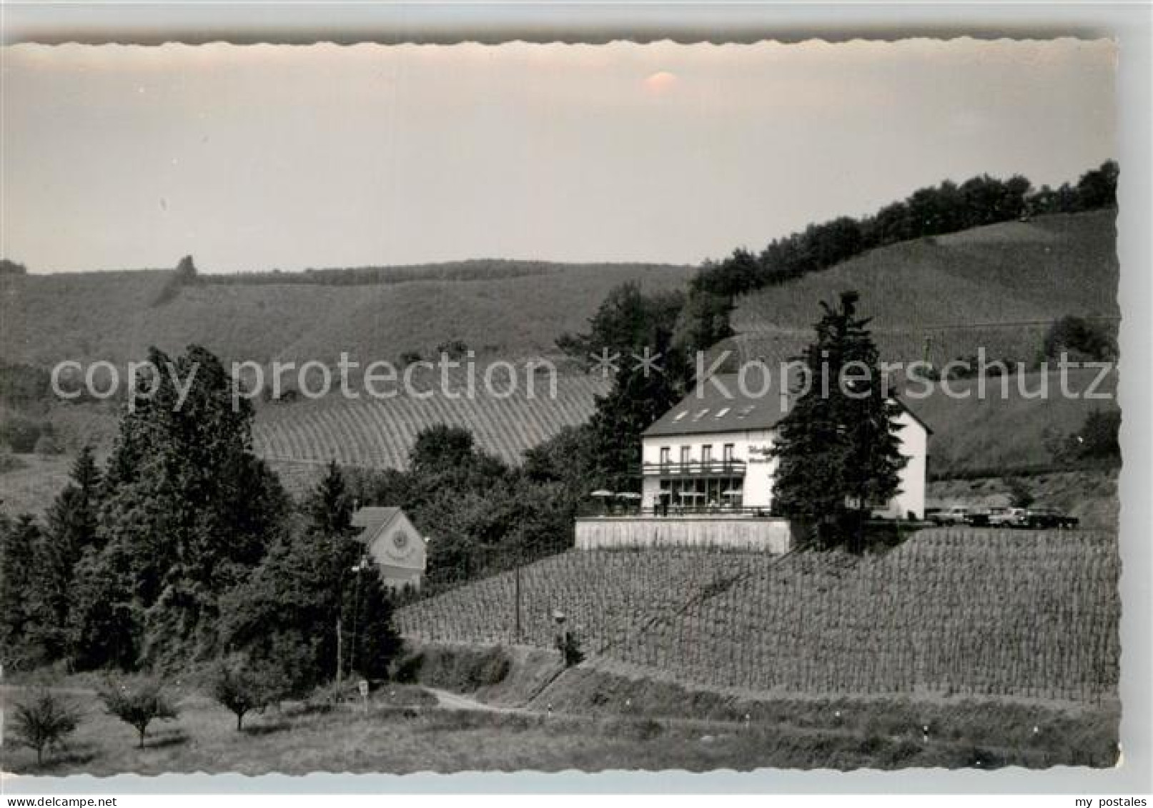 Wittlich Felsenburg