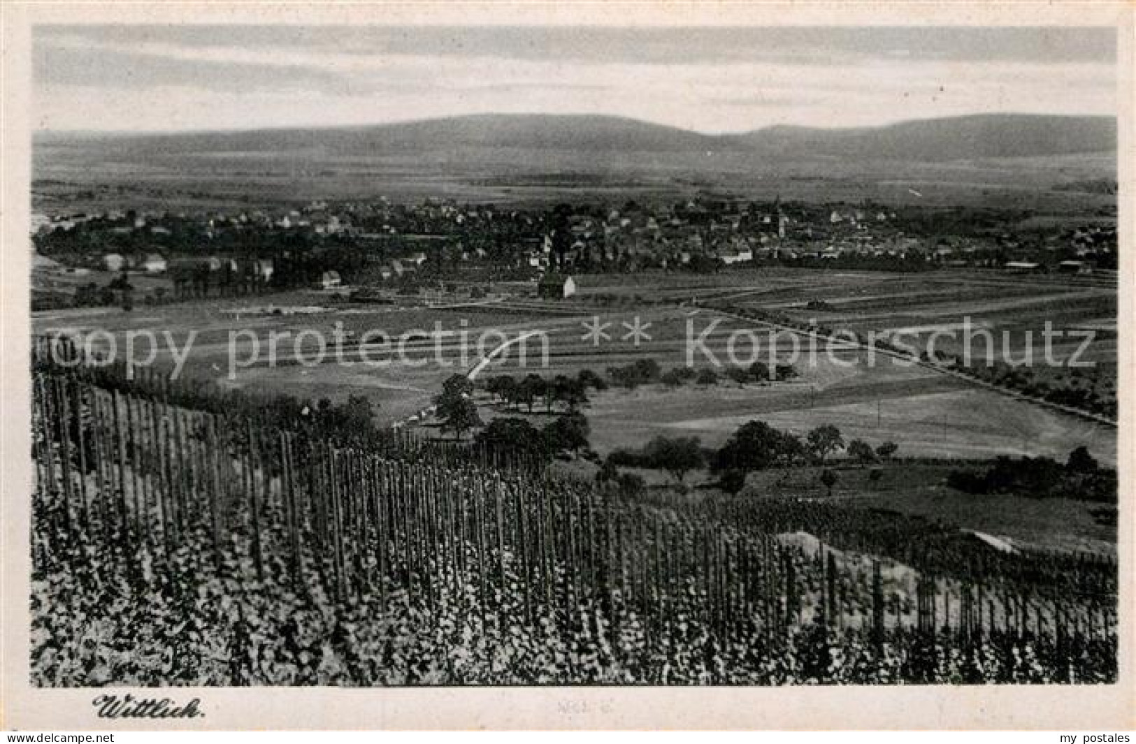 Wittlich Gesamtansicht