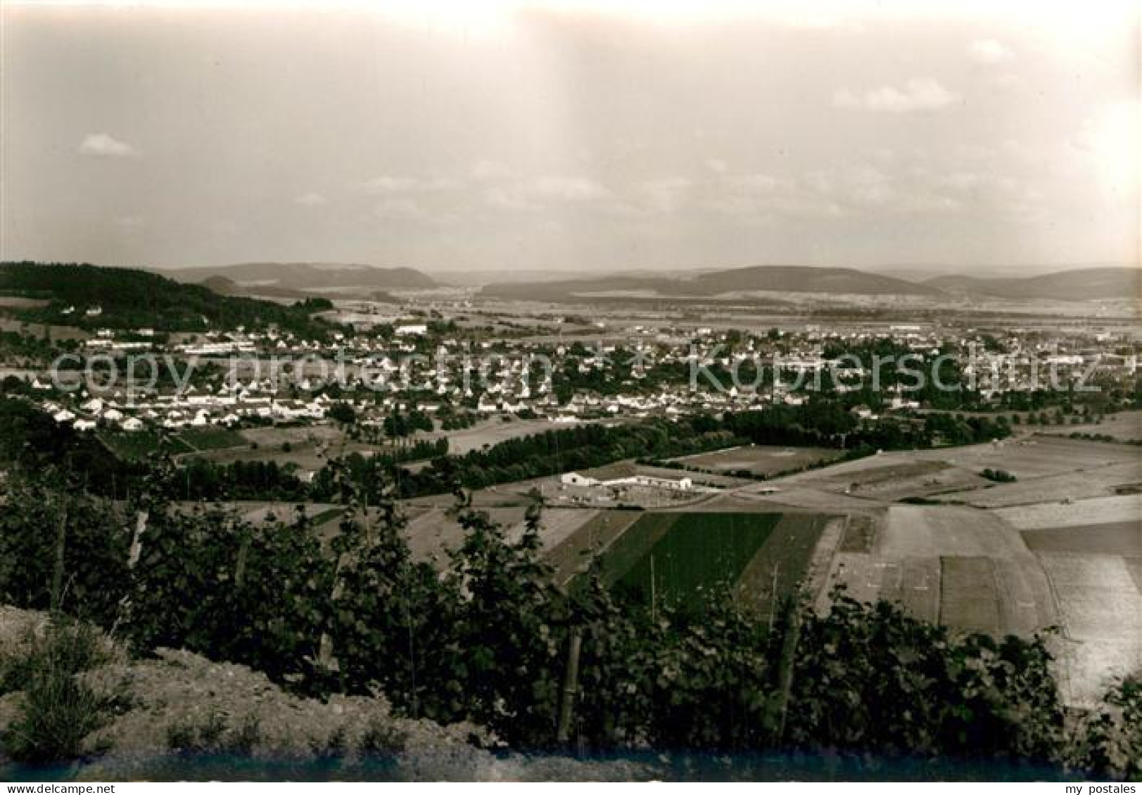 Wittlich Panorama