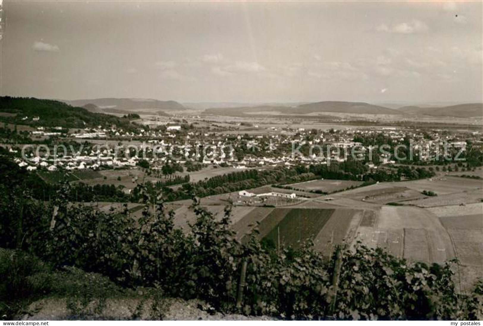 Wittlich Panorama