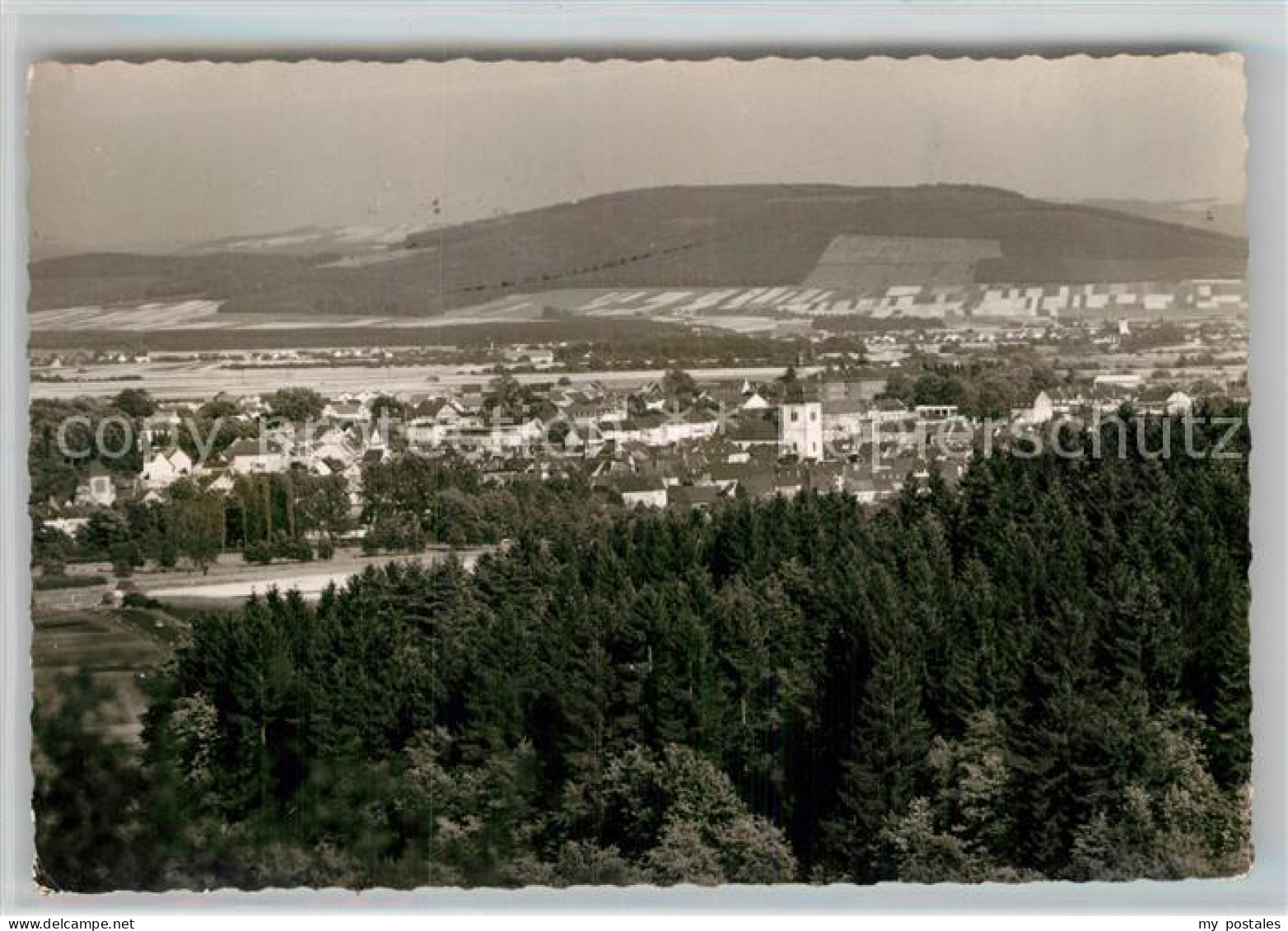 Wittlich Panorama