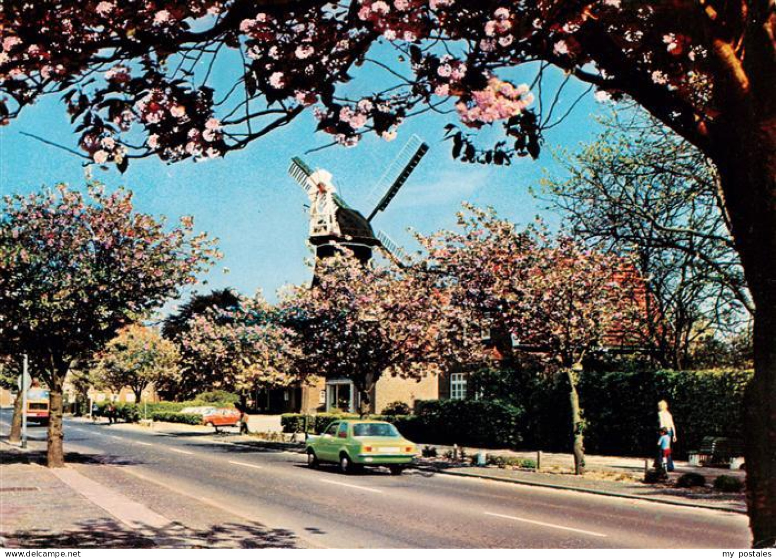 Wittmund Hauptstrasse Windmuehle Baumbluete