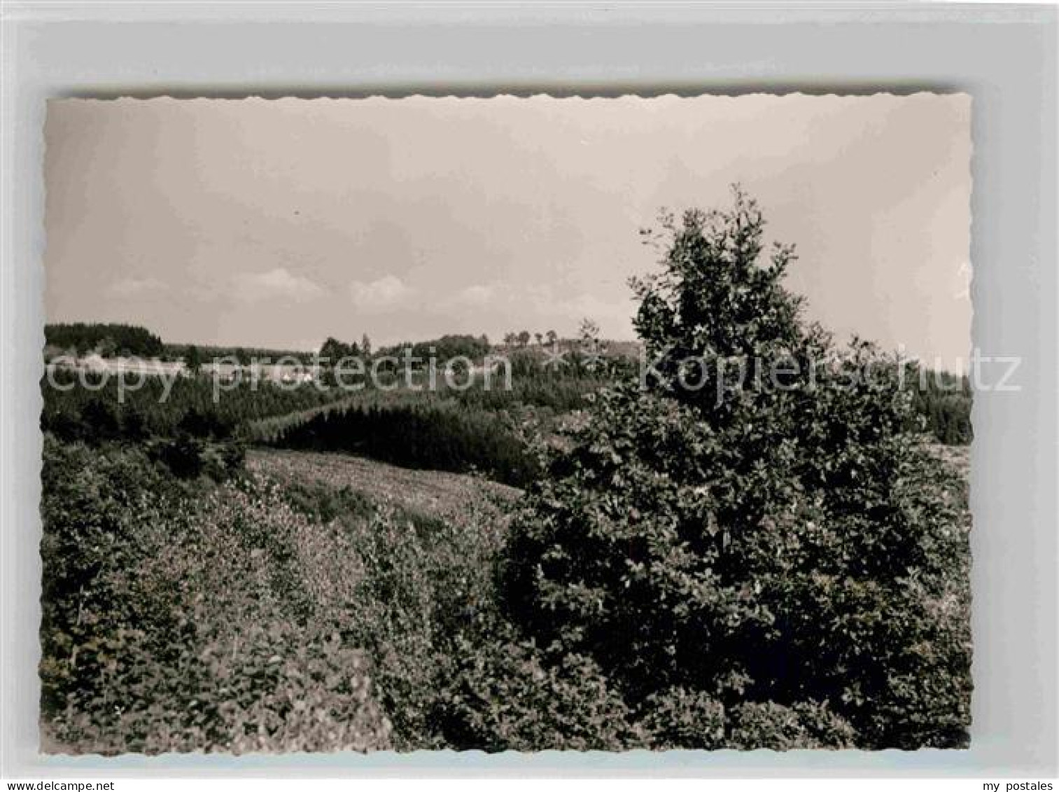 Woerden Panorama