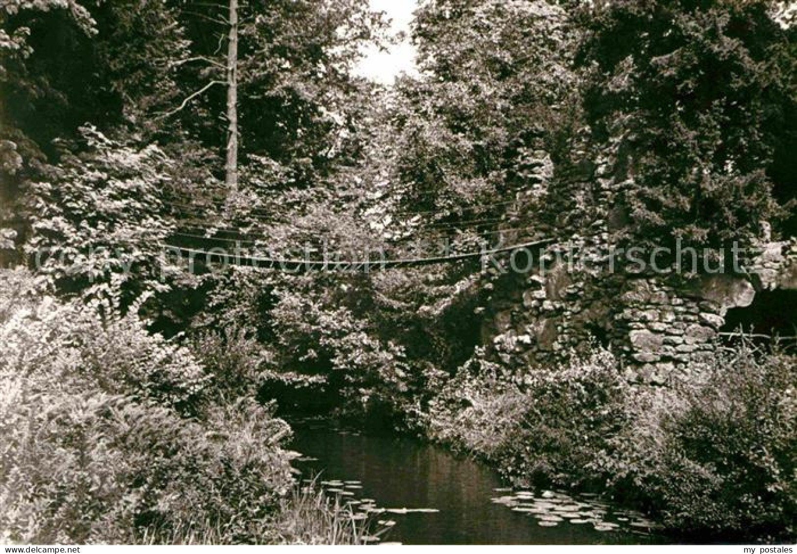 Woerlitz Kettenbruecke im Park