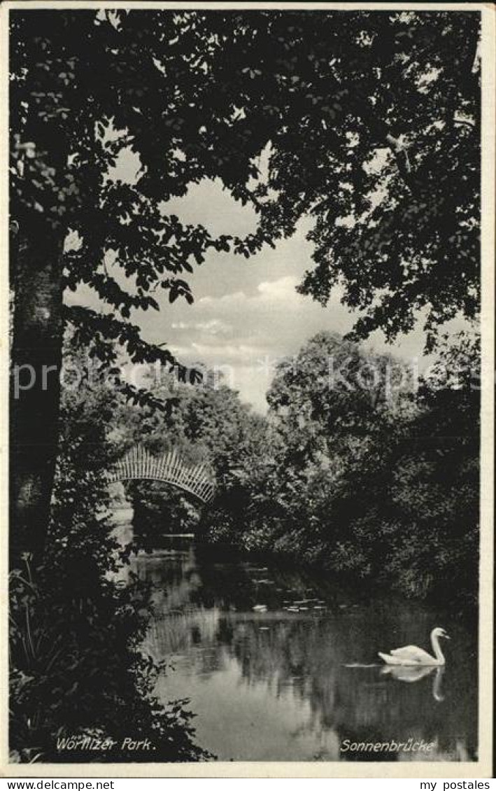 Woerlitz Park Sonnenbruecke Schwan