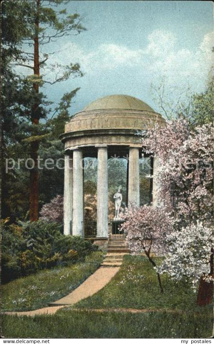 Woerlitz Park Venustempel Baumbluete