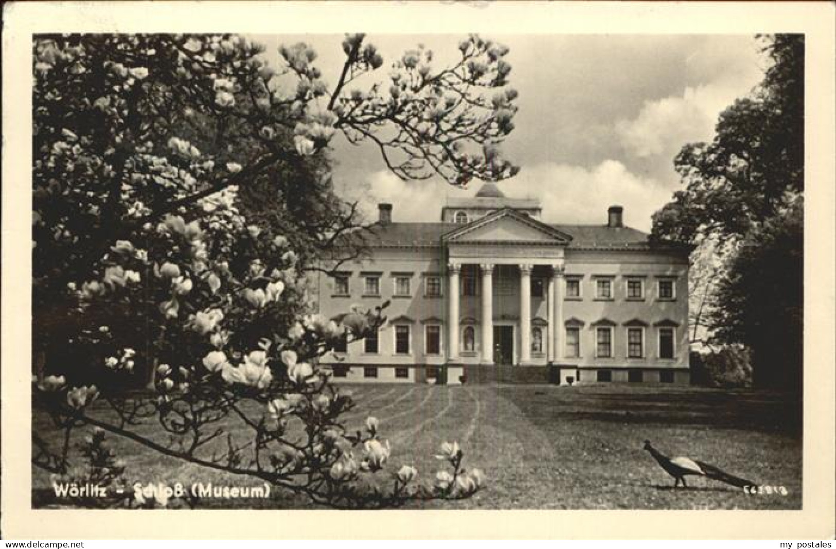 Woerlitz Schloss Museum