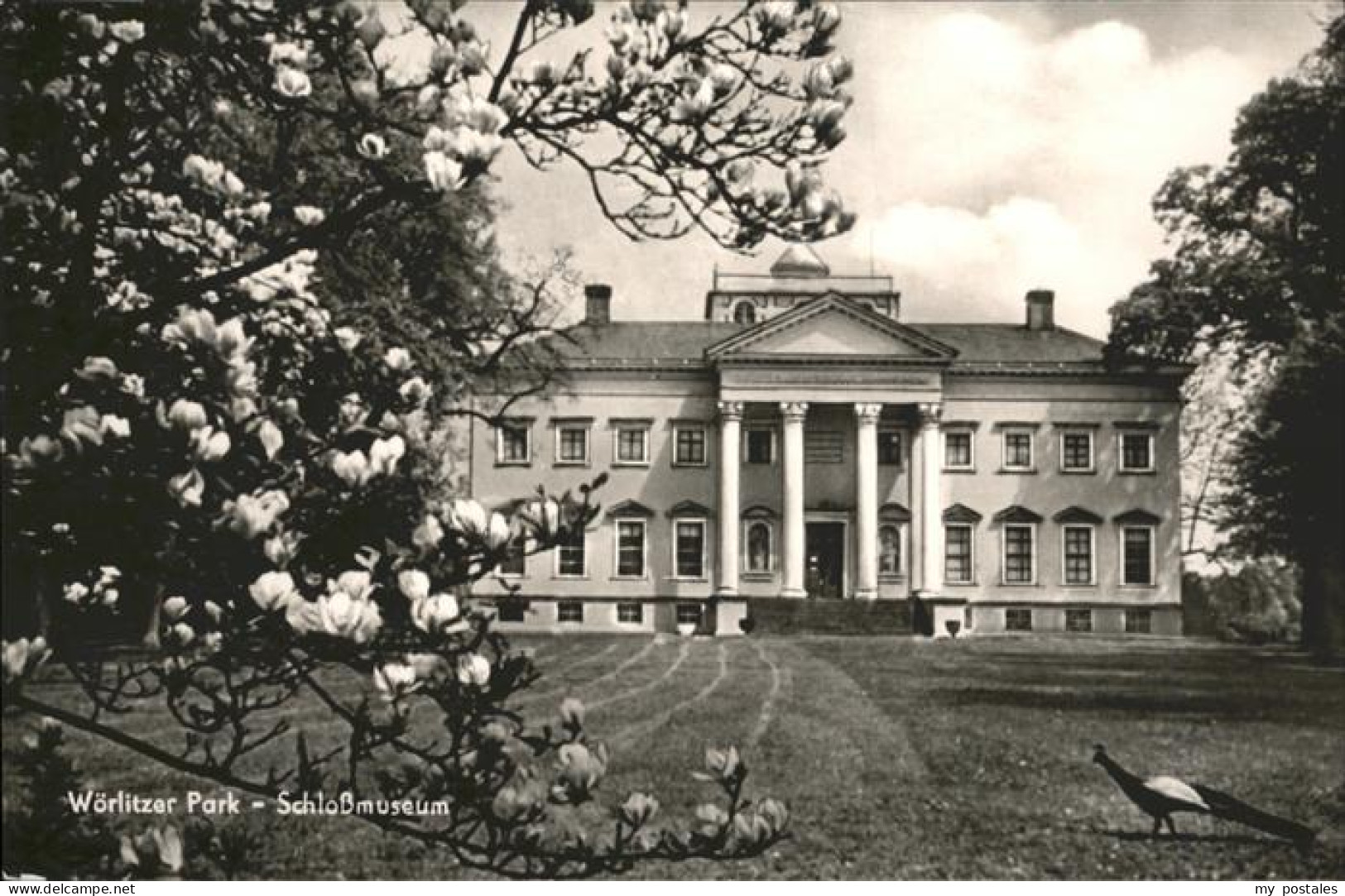 Woerlitz Woerlitzer Park Schlossmuseum