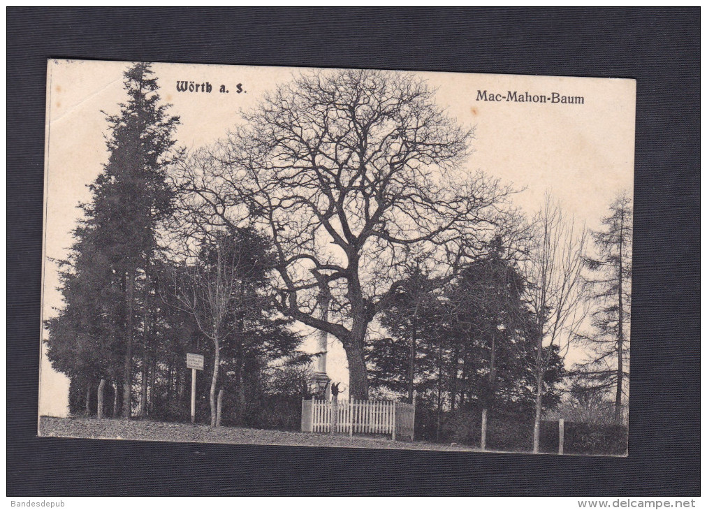 Woerth (67) - Worth a. S. - Marc Mahon Baum ( Arbre remarquable Ed. A. Levy)