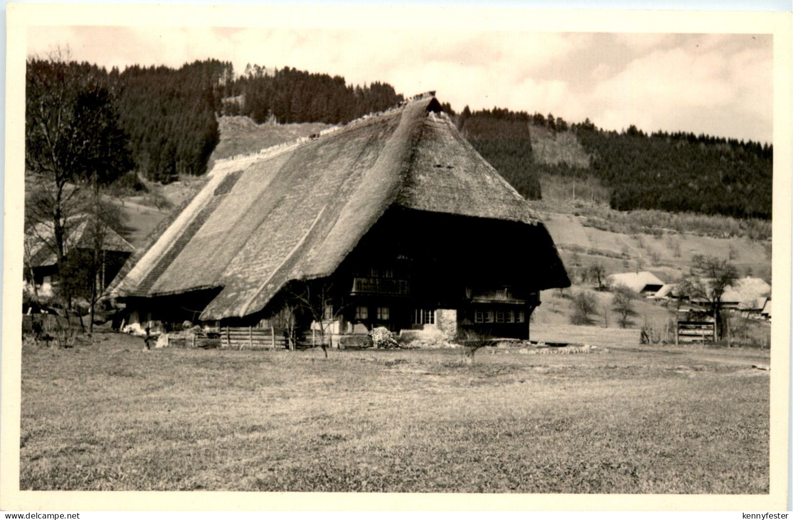 Wolfach