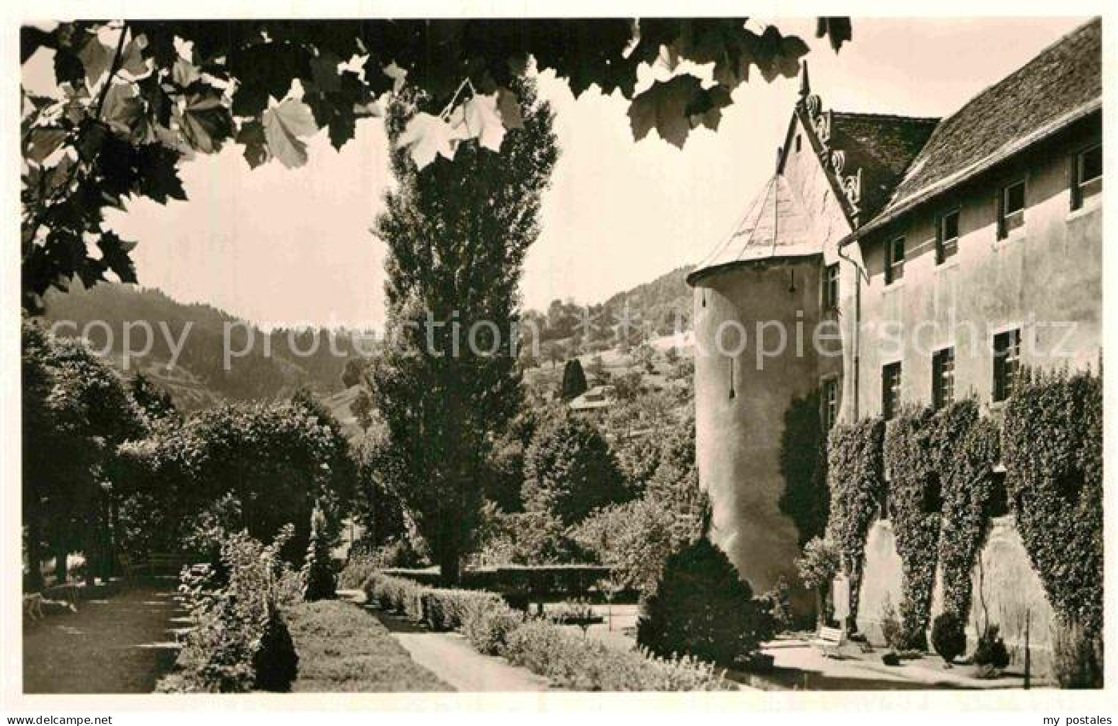 Wolfach Schlossanlage