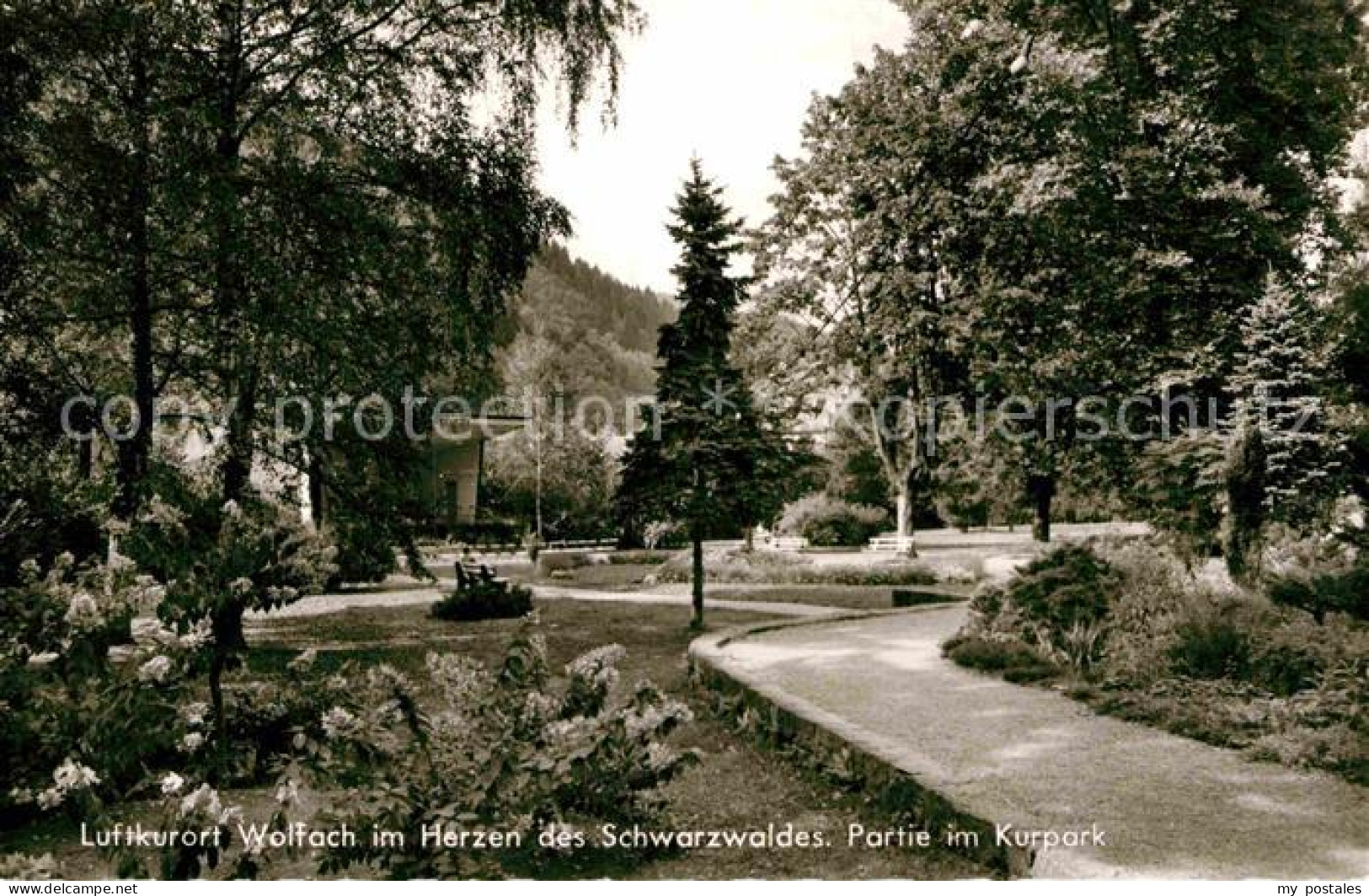 Wolfach Schwarzwald BW Kurpark